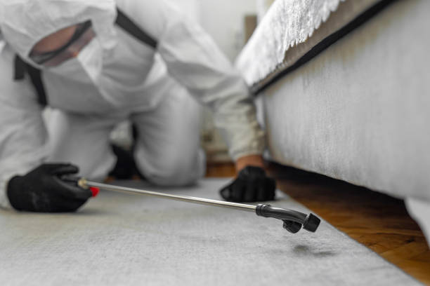 Professional Termite Control technician working in Riverside, ID