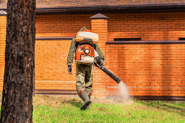 Top rated local Termite Control specialists in Riverside, ID